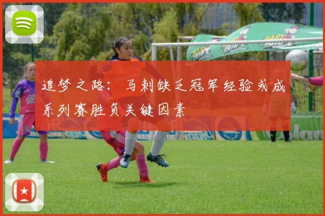 追梦之路：马刺缺乏冠军经验或成系列赛胜负关键因素
