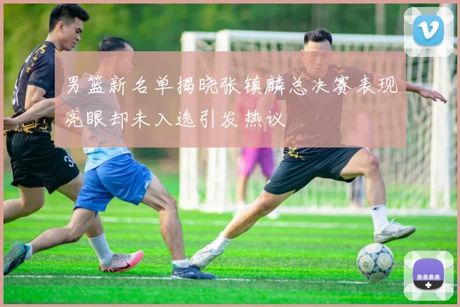 男篮新名单揭晓张镇麟总决赛表现亮眼却未入选引发热议